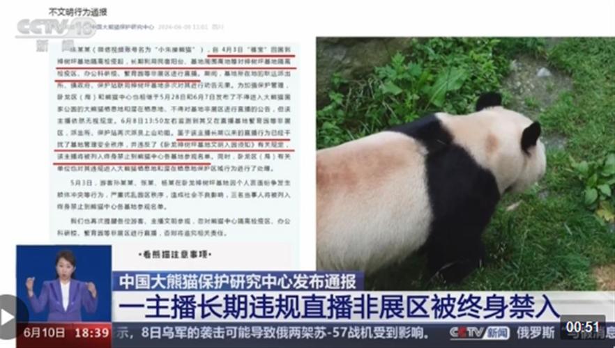 最新微信有什么新功能大熊猫被娃遛30分钟视频大熊猫被娃遛30分钟